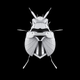“Superstar Beetle”